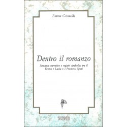 Dentro il romanzo